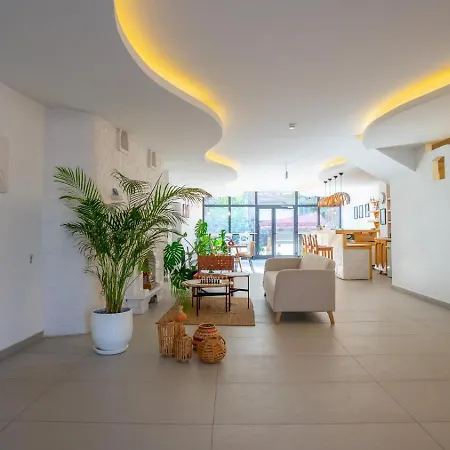 Audo Local Hotel