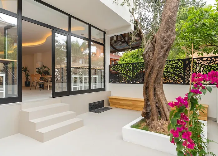 Audo Local 4* Antalya