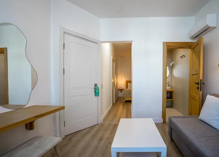 Audo Local Hotel 4*