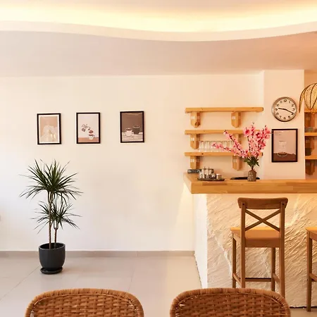 Hotel Audo Local Antalya