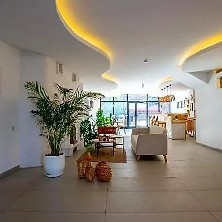 Audo Local 4*