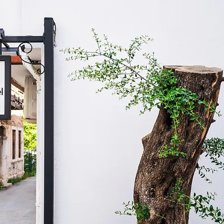 Hotel Audo Local