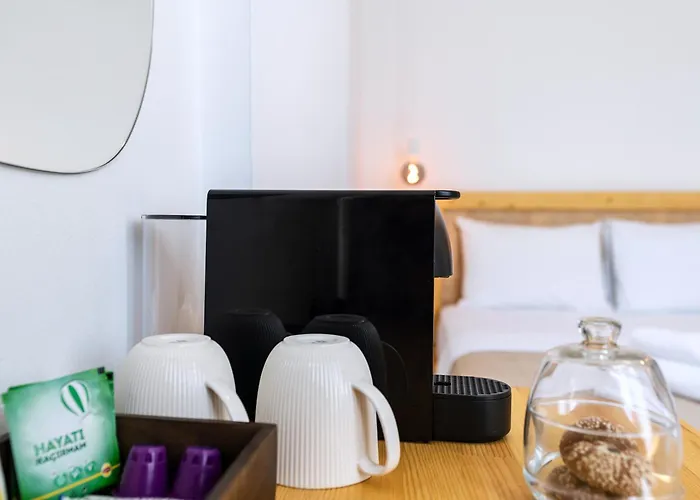 فندق Audo Local 4*