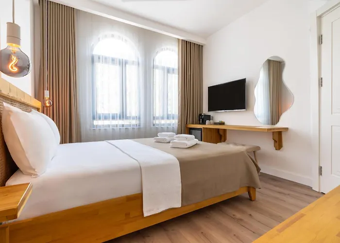 Audo Local 4*