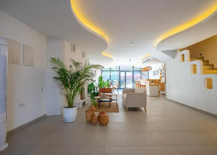 Audo Local Hotell
